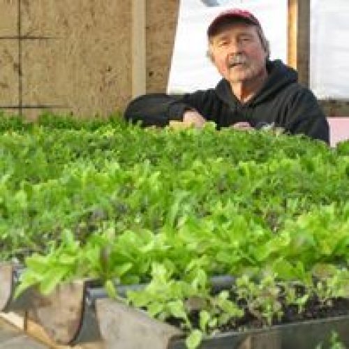 Local vegetables, Charles Town Farmers Market, Shepherdstown Farm Market
