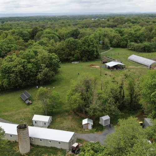 Teaching farm. Hydroponics